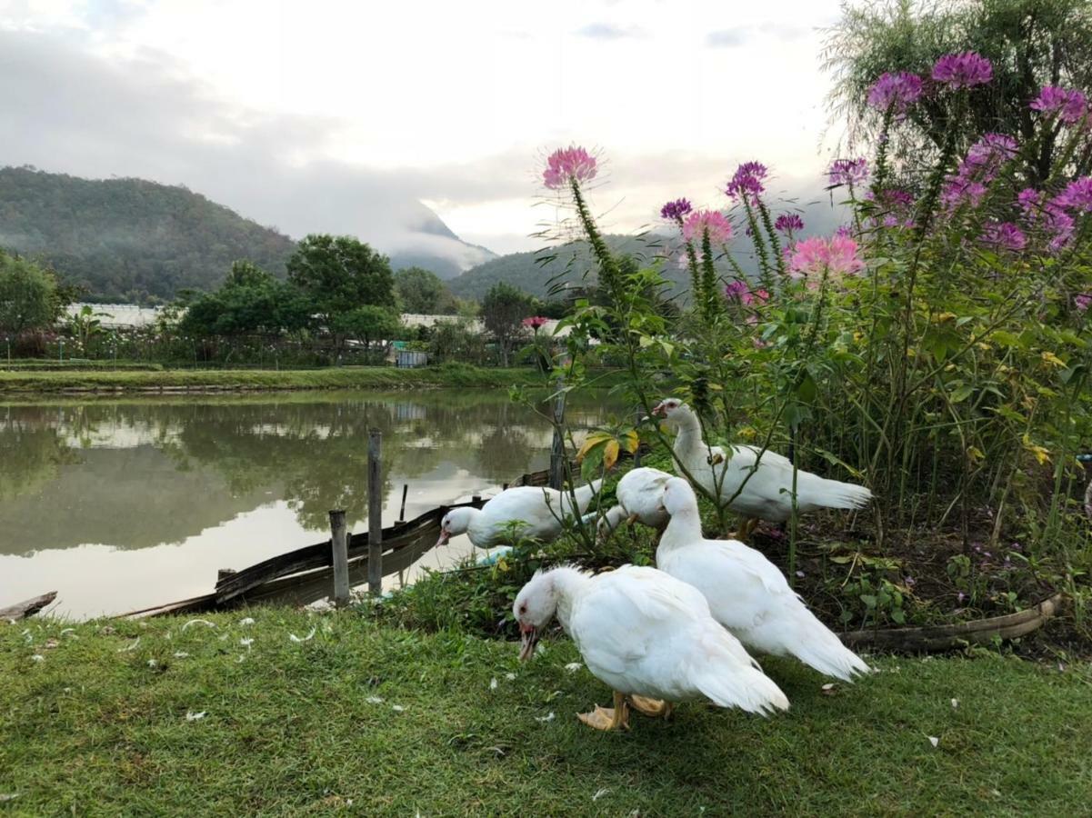 Farmstay At Pai Exterior foto